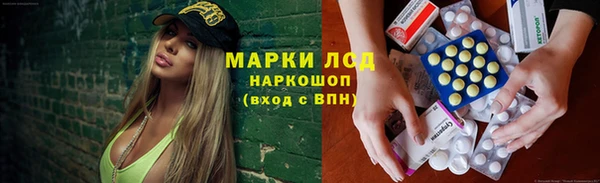 ПСИЛОЦИБИНОВЫЕ ГРИБЫ Надым