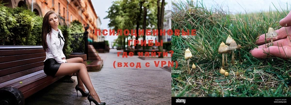 марки lsd Михайлов