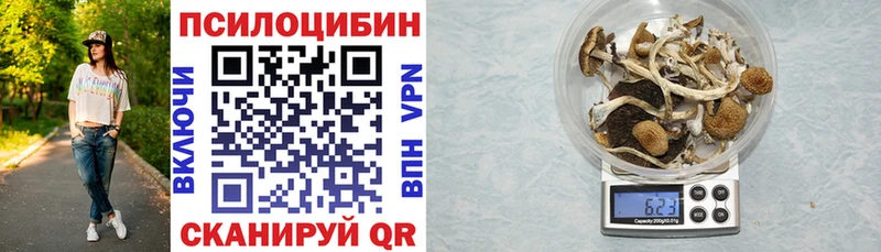 купить наркотик  KRAKEN ссылка  Галлюциногенные грибы Psilocybine cubensis  Благодарный 
