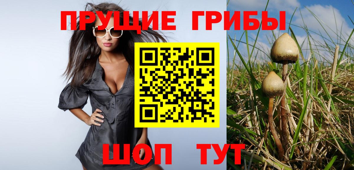 Галлюциногенные грибы Cubensis  Псилоцибиновые грибы мицелий  Благодарный  Вход с VPN 