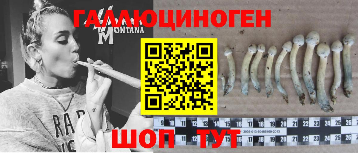 Галлюциногенные грибы Psilocybine cubensis  Псилоцибиновые грибы Psilocybine cubensis  купить наркотик  Благодарный 