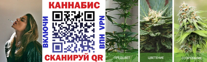 Конопля план  где купить наркоту  Благодарный 