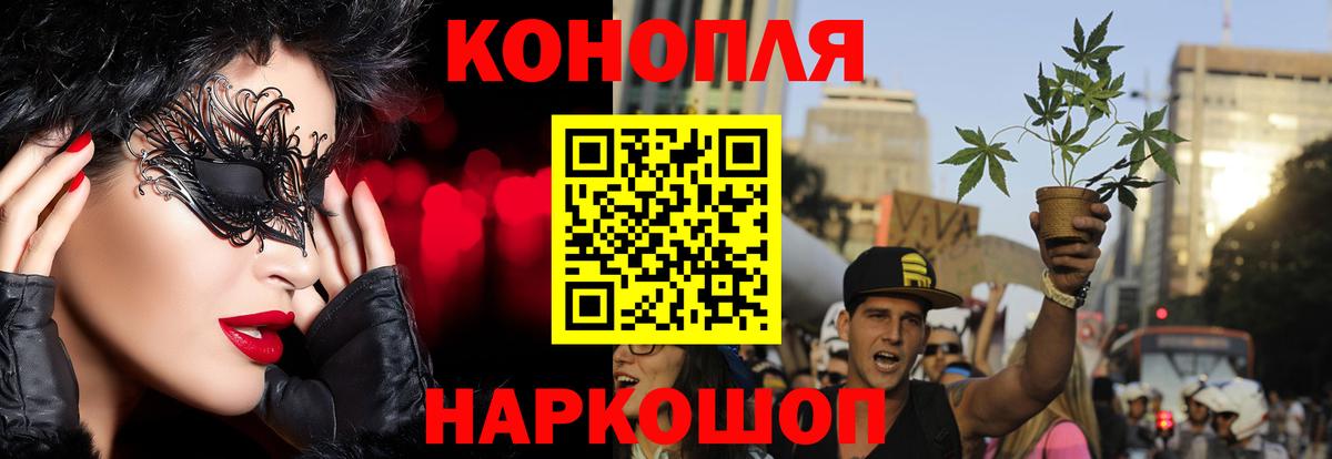 МАРИХУАНА сатива Благодарный